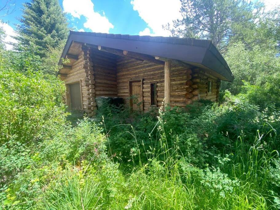 Aspen'S Cabin Wilson Zewnętrze zdjęcie